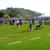 razstava-psov, obcina-lendava, sportni-park-lendava