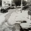 p_37.jpg