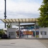 razstava-psov, obcina-lendava, sportni-park-lendava