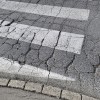 cesta