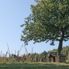 ekolosko-kmetijstvo, kmetovanje, narava, prodaja, kmetija