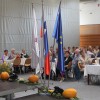 stari 7.JPG