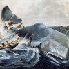 moby dick.jpg