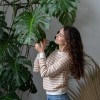 monstera