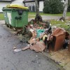 gorel smetnjak.jpg