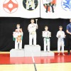 kbv-sevnica, samobor, karate