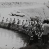 p38.JPG