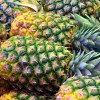 matthiasboeckel-pineapple-3413953.jpg