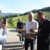 minister-cigled-kralj, vinogradniki, sofinanciranje, zlata-trsna-rumenica, kraljevina, kmet