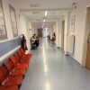 IMG_2865.jpeg