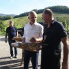minister-cigled-kralj, vinogradniki, sofinanciranje, zlata-trsna-rumenica, kraljevina, kmet
