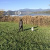 IMG_3473.jpeg