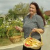 d35_druzabnatanjabrate.jpg
