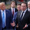 donald trump, elon musk.jpg