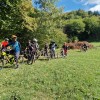kolesarsko-drustvo-zverinice