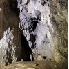 IMG_3569.jpeg