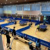 NTK Kema-Murexin Puconci, namizni tenis, pokalno tekmovanje