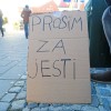 Brezdomec.jpg