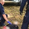 Policija Poljska napad mačeta osumljenec
