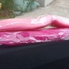 dz-podaljški.jpg