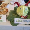 ztšk-šalovci, kapustni-den-2026, šalovci