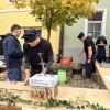 IMG_3694.jpeg