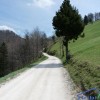 Mrzlica Kriška planina.jpg