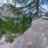 markacisti, pgd-celje-matica
