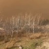alberta.jpg.png