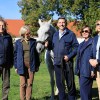 lipica, prve-dame, obisk, zakulisje