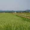 1687541883-dsc07107-1687541751683.jpg