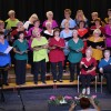 leskovske-lastovke, koncert