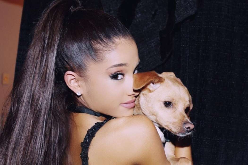 Ariana