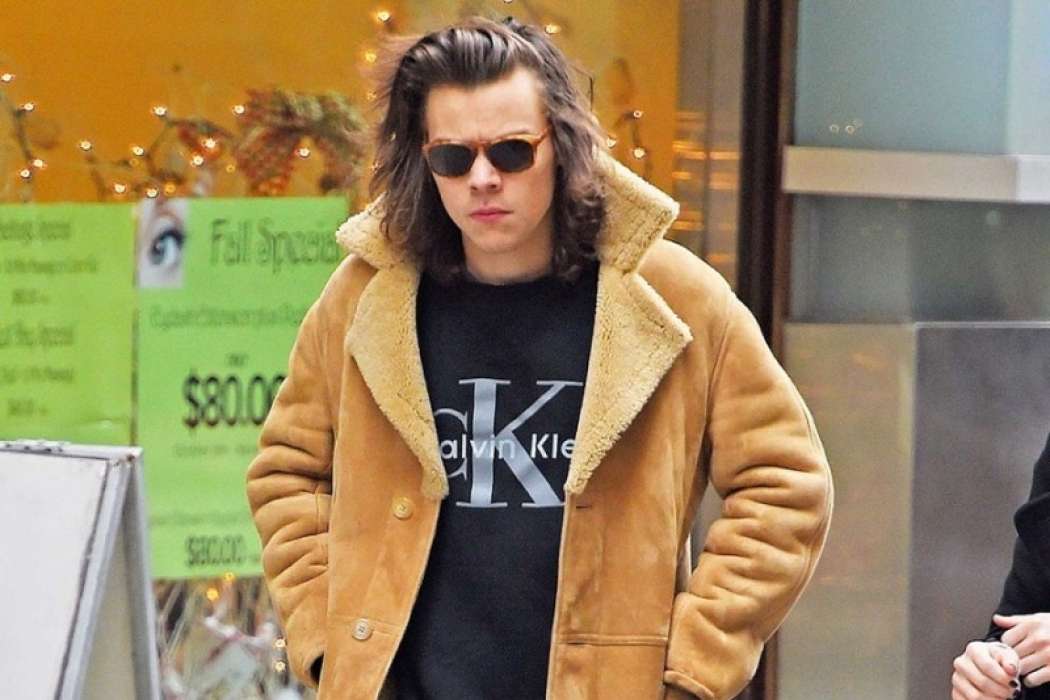 Harry-Styles-Calvin-Klein-Sweatshirt-Picture-800x1200