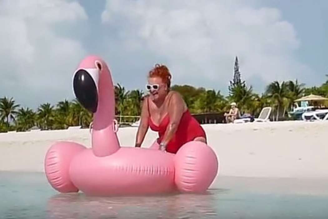 flamingo