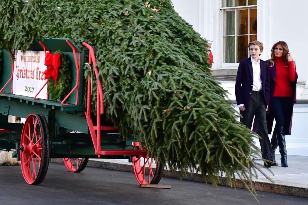 melania trump_barron