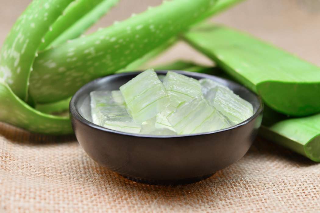 slika 2 aloe vera