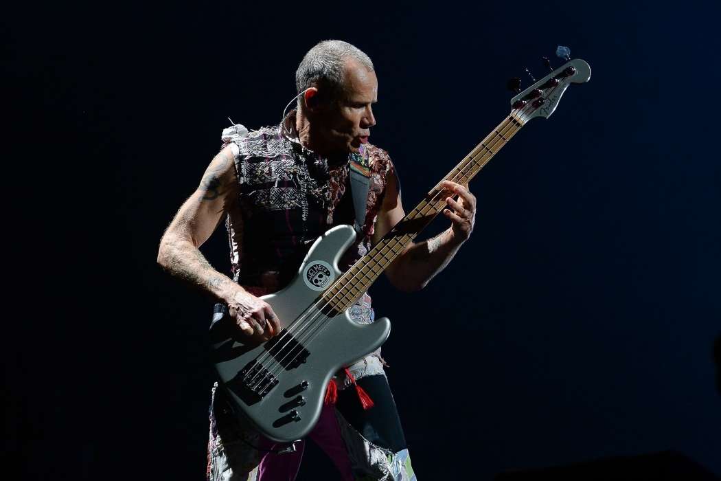 flea