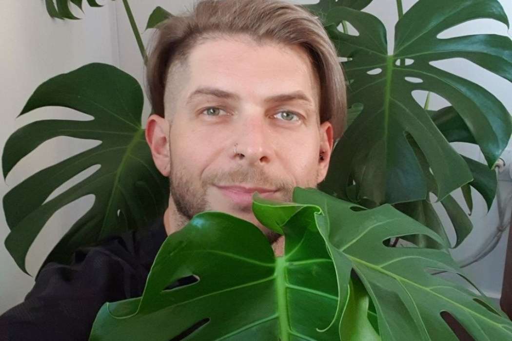 klemen bunderla monstera