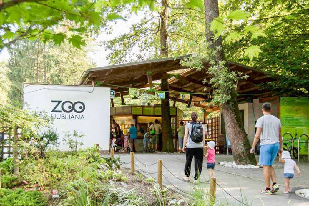 zoo ljubljana