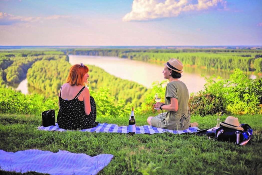 Piknik na Donavi