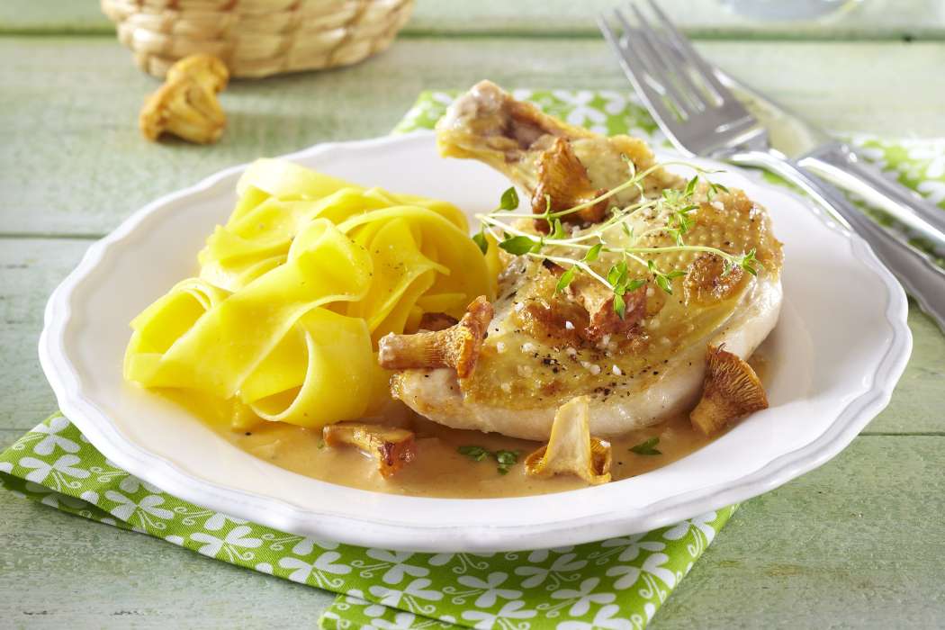 chicken in chantarelle sauce