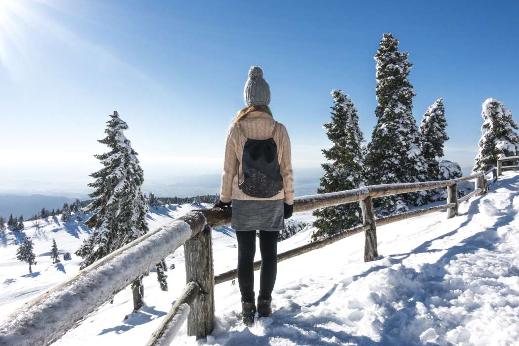 Velika planina