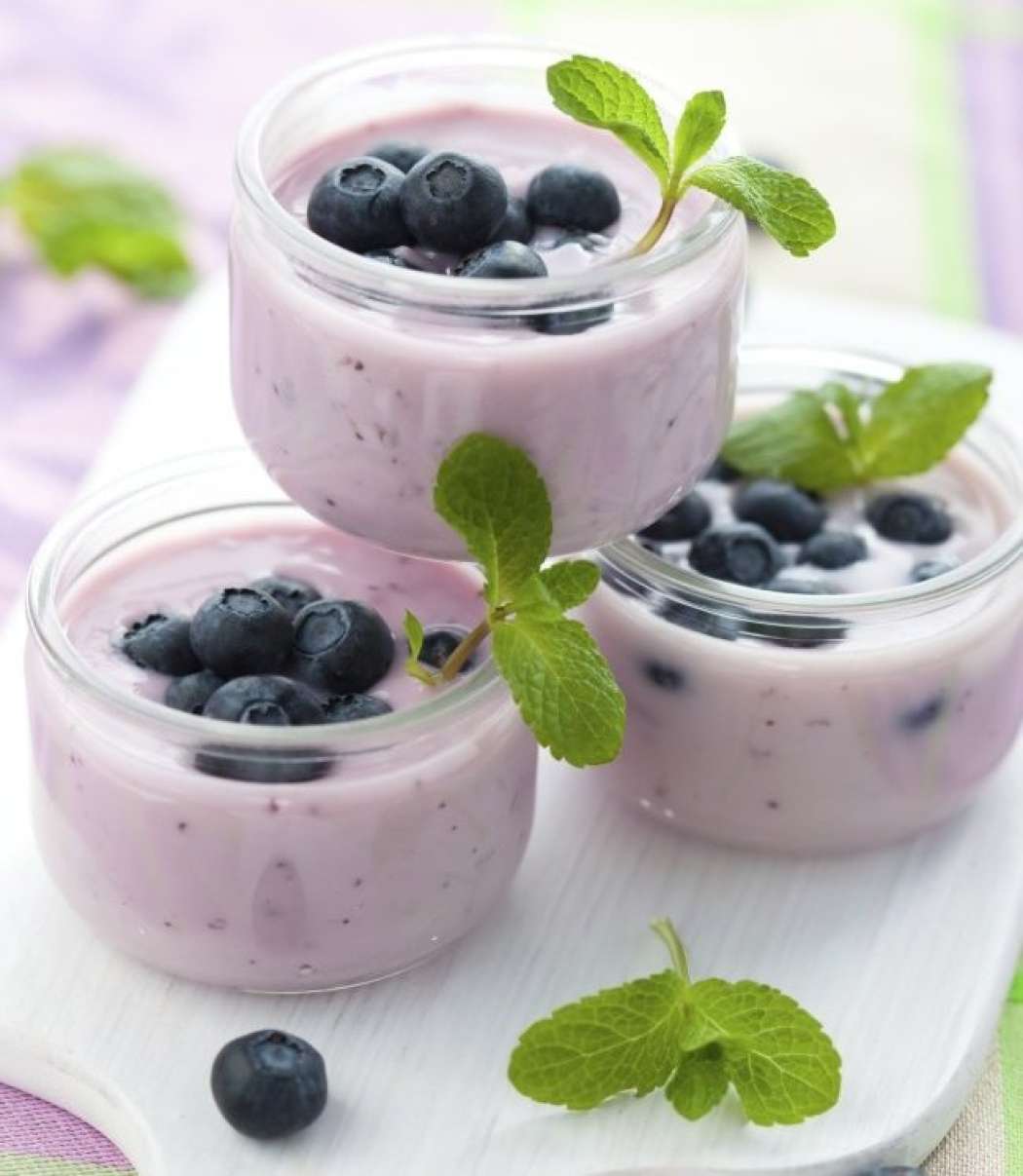 Jogurtov napitek z borovnicami in alojo vero