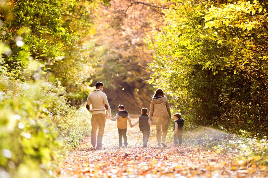Družina, sprehod, gozda, otroci