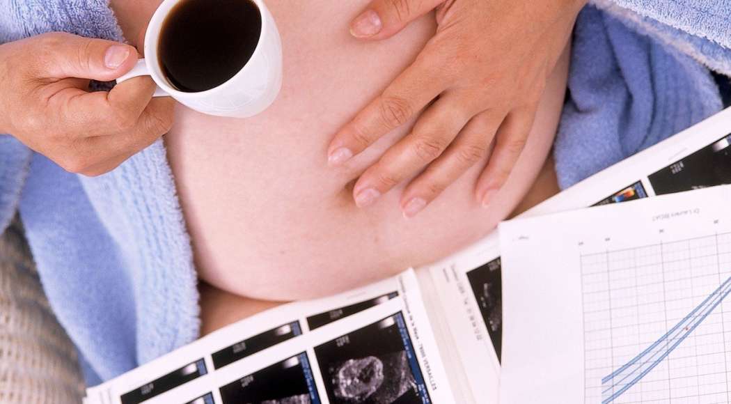 nosečnost in kava