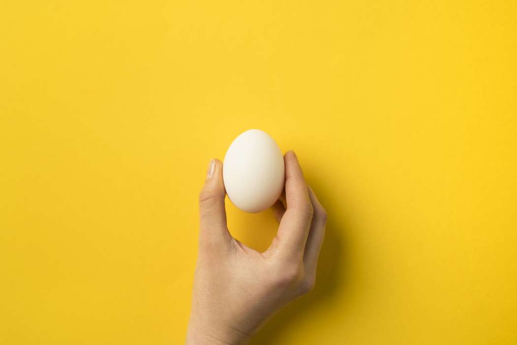 hranas-8 jajce