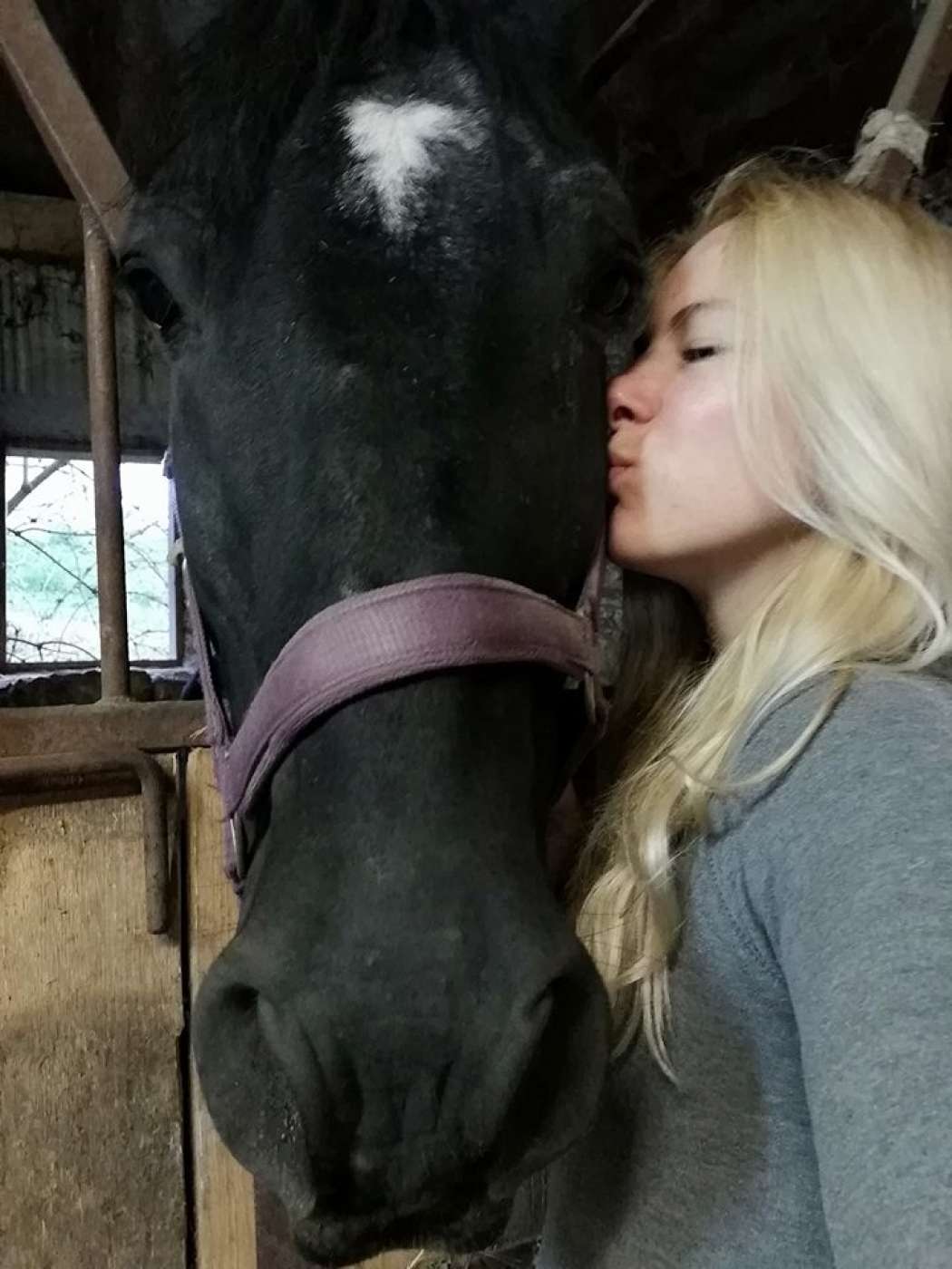 Lara Goršek Kos in konj