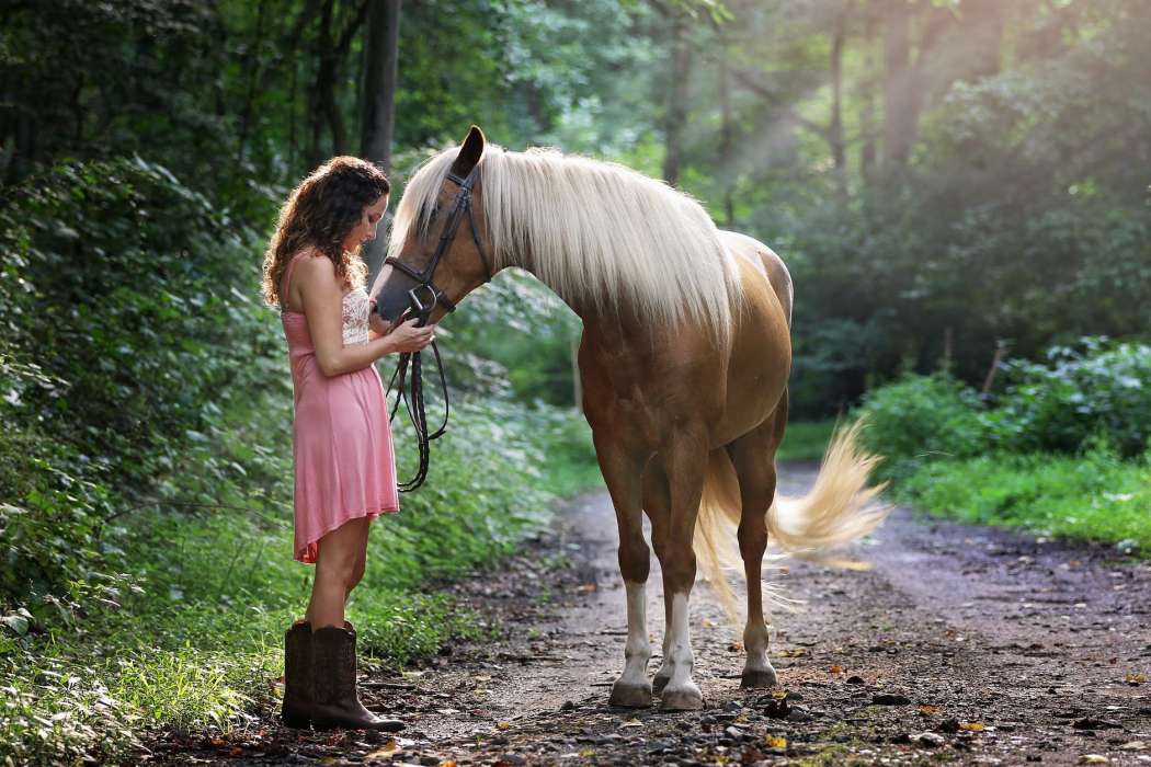 konj in dekle