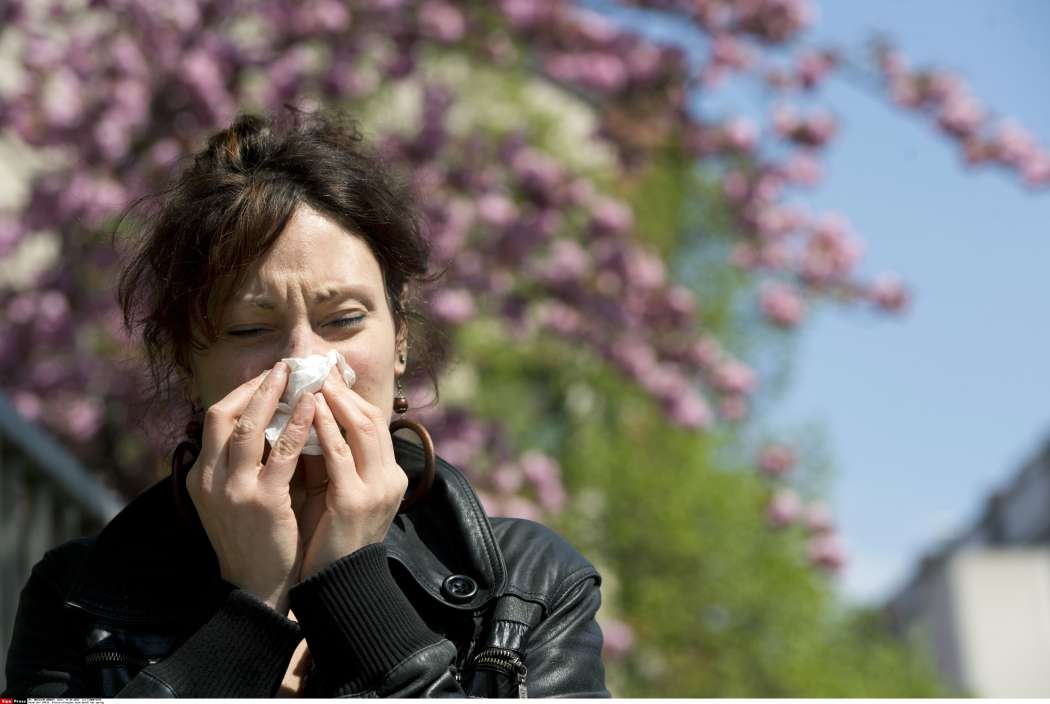 cvetni-prah-pomladne-alergije